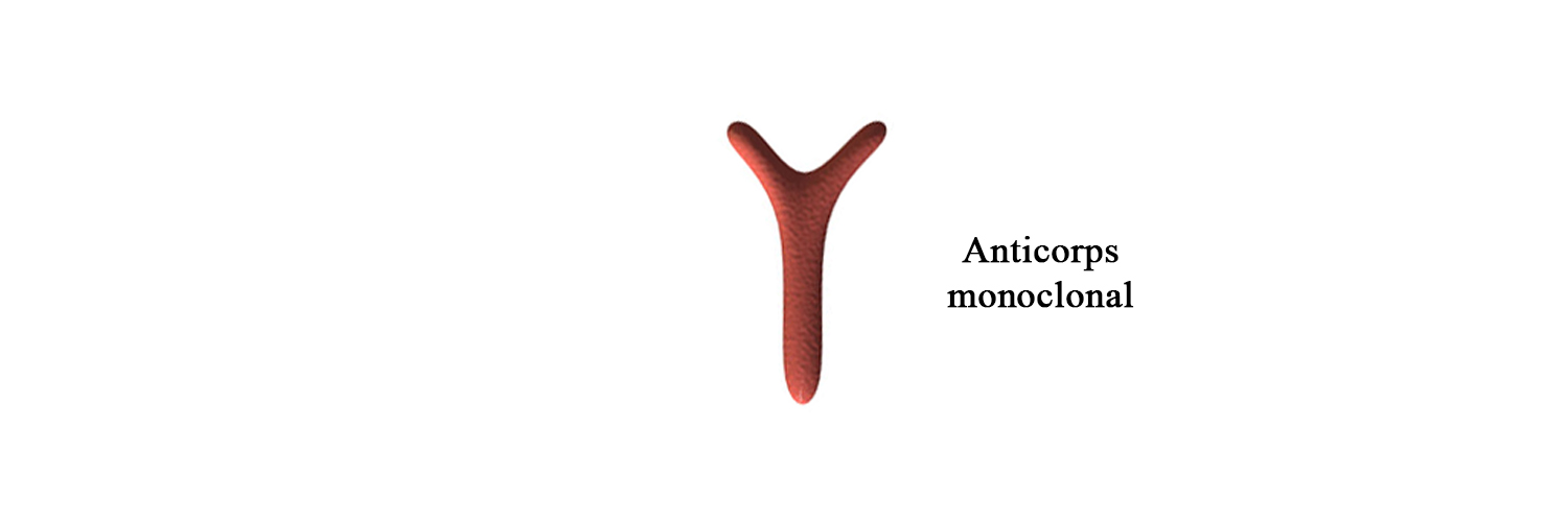 BIO 312 - Moab a-NHI 34D3/protein N (Nécrose hématopoïétique infectieuse)